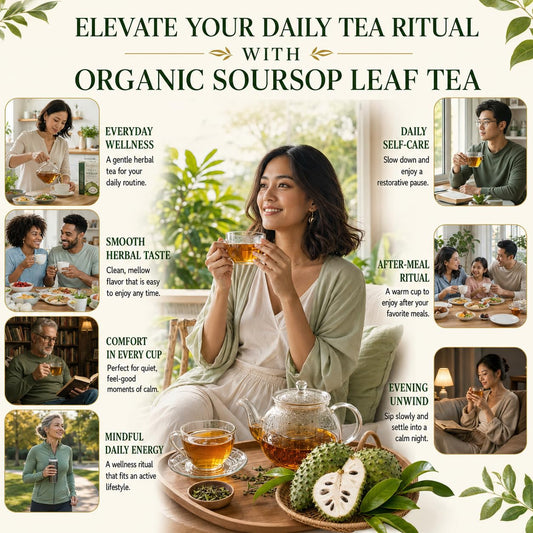 HERB DTQ USDA 100% Organic Soursop Graviola Leaf Tea Bags, Non-GMO, 75 Ct | Eco-Conscious Sachets, Sour Sop, Hojas de Guanabana, Vegan, Caffeine-Free, Sugar-Free, Gluten-Free, Sleep &amp; Digestion Support
