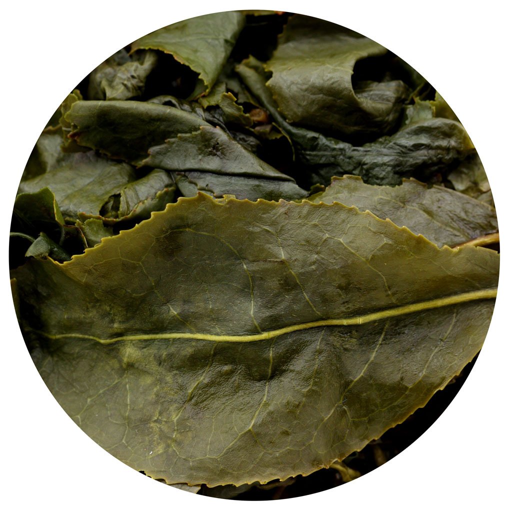 GOARTEA Dong Ding Oolong Tea - 100g / 3.5oz Supreme Grade - Taiwan Dongding Oolong Tea Loose Leaf - High Mountain Tung Ting