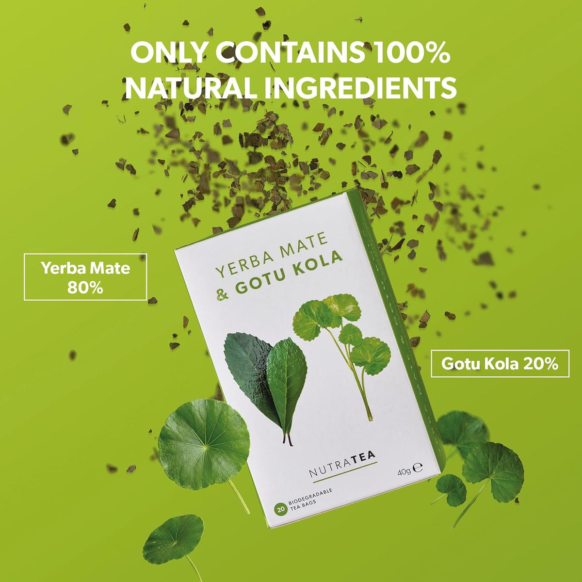 Nutra Tea - Yerba Mate &amp; Gotu Kola - Yerba Mate Tea, Focus Tea - With Centella Asiatica - Caffeine Alternative Without the Jitters - 20 Individually Wrapped Bags - Herbal Infusion (1 Pack)