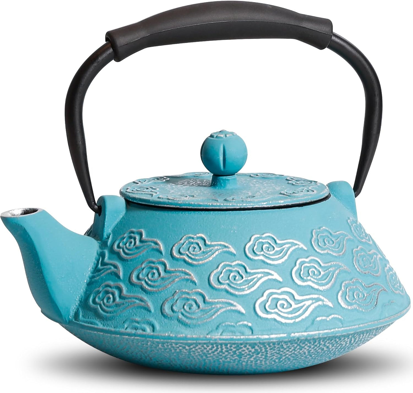 Cast Iron Teapot, Japanese Tea Pot with Infuser for Loose Leaf, Tea Kettle Stovetop Safe, Enamel Coated Interior, 27 oz (800 ml), Clouds Pattern Sky-Blue