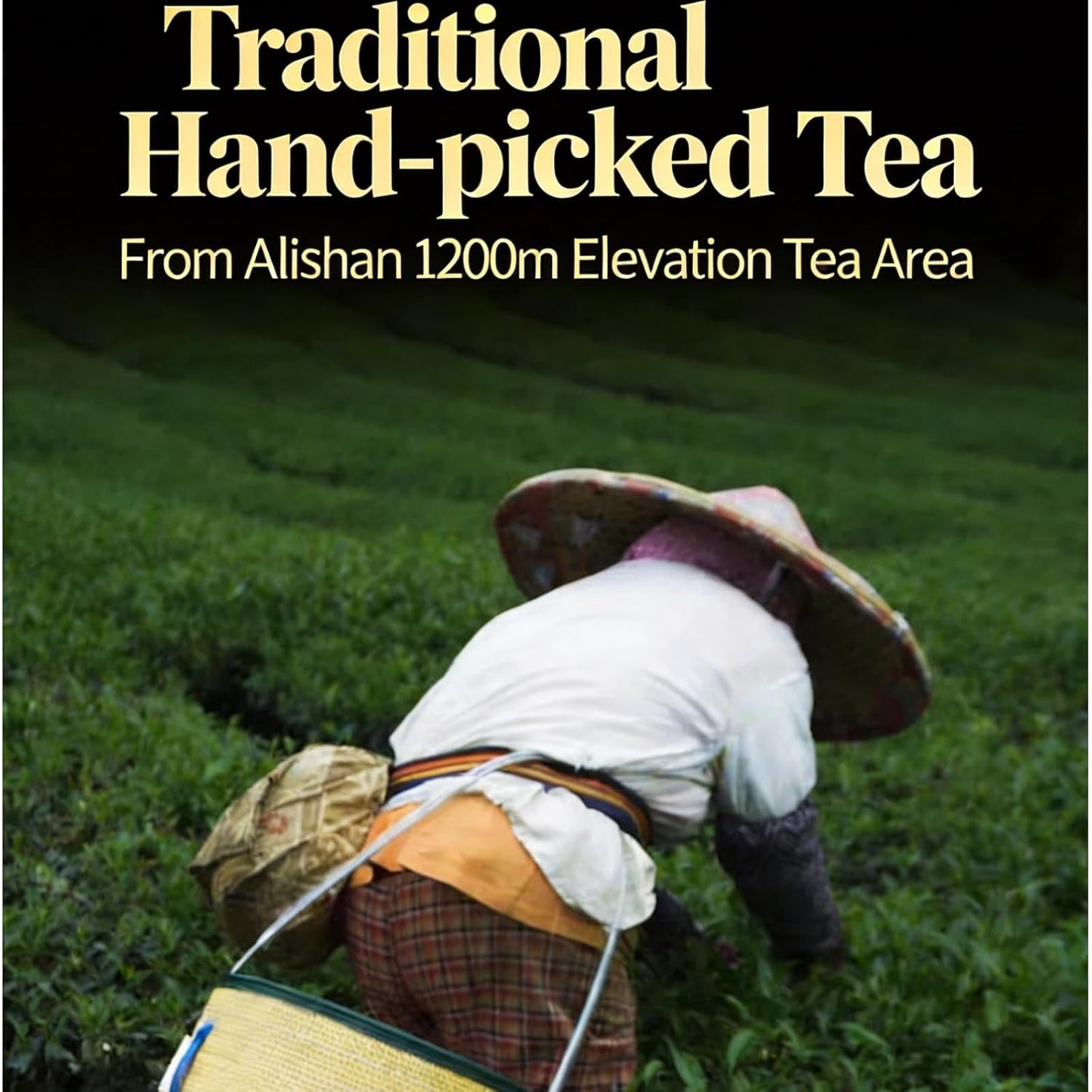 NASLAPH Alishan Oolong Tea, Taiwan High Mountain Oolong Tea with Distinctive Aroma, Formosa Chinese Gaoshan Ulong Tea, Traditional Craftsmanship 阿里山茶 台湾高山茶 中国茶 茶 乌龙茶 8.82 Oz