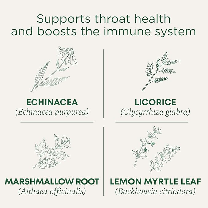 Traditional Medicinals Tea, Organic Throat Coat Lemon Echinacea, Supports Throat Health & Immune Fuction, 96 Tea Bags (6 Pack)