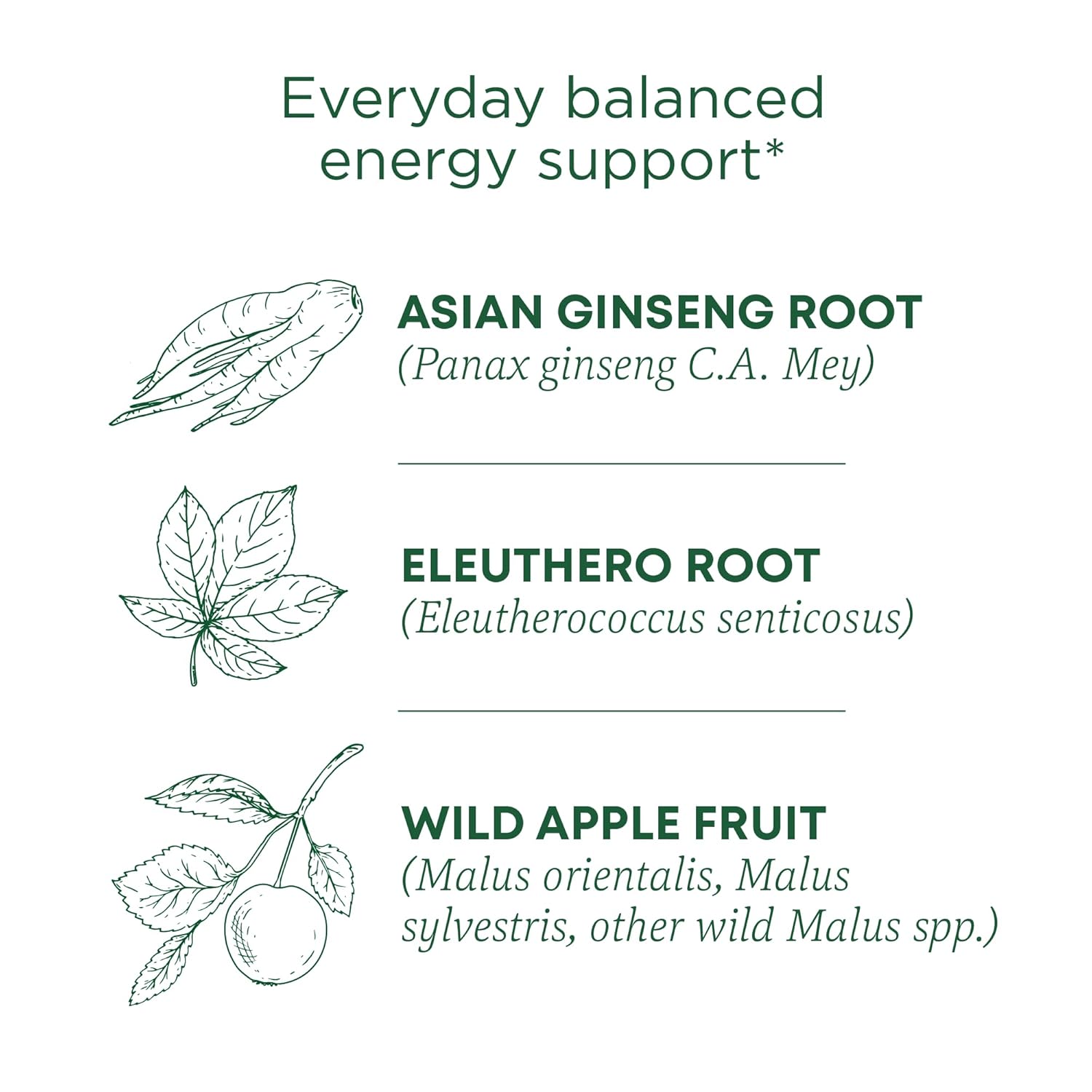 Traditional Medicinals Organic, Stress Ease Focus, Ginseng Wild Apple Mint Tea - Balanced Energy Support & Adaptogens - Kosher, Non-GMO, Caffeine-Free, Compostable - 16 Tea Bags