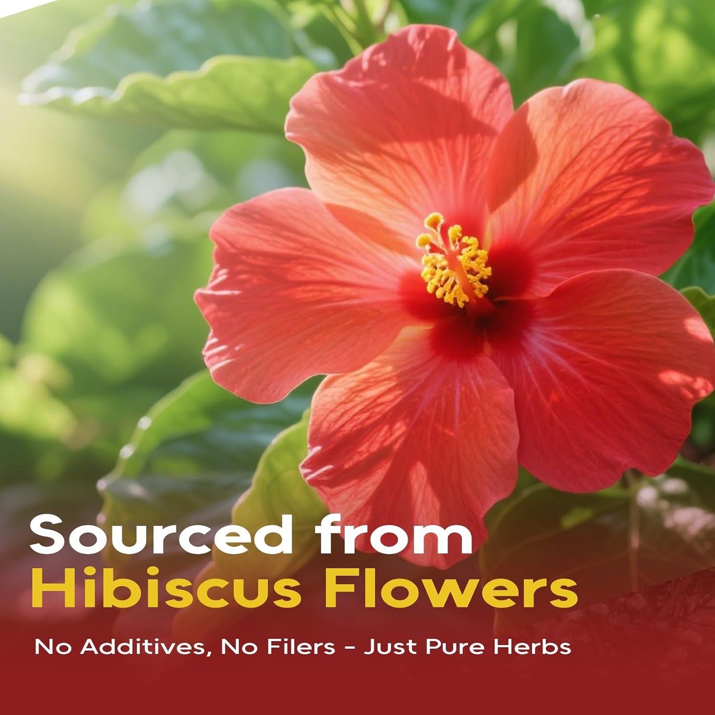 FullChea Hibiscus Tea Bags, 120 Counts, Flor De Jamaica, Non-GMO | Pure Hibiscus Flowers, Caffeine-Free, Support Digestion &amp; Boost Immunity, Hot &amp; Iced Tea, No Additives, Resealable Pouch