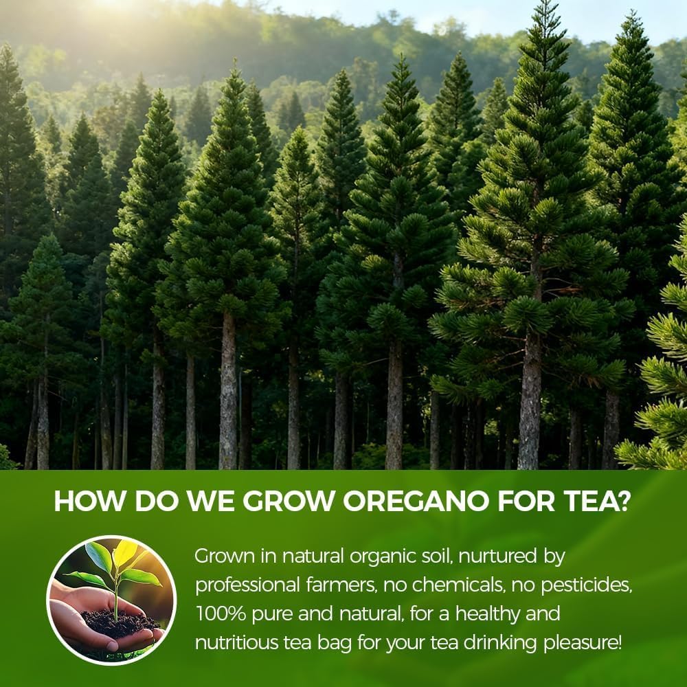 WOTIHA 80 Count Premium Wild-Harvested Pine Needle Tea Bags - 100% Natural White Pine Needles, Antioxidant &amp; Immune Support, Aromatic &amp; Soothing, Caffeine-Free, Additive-Free, Vegan.Non-GMO