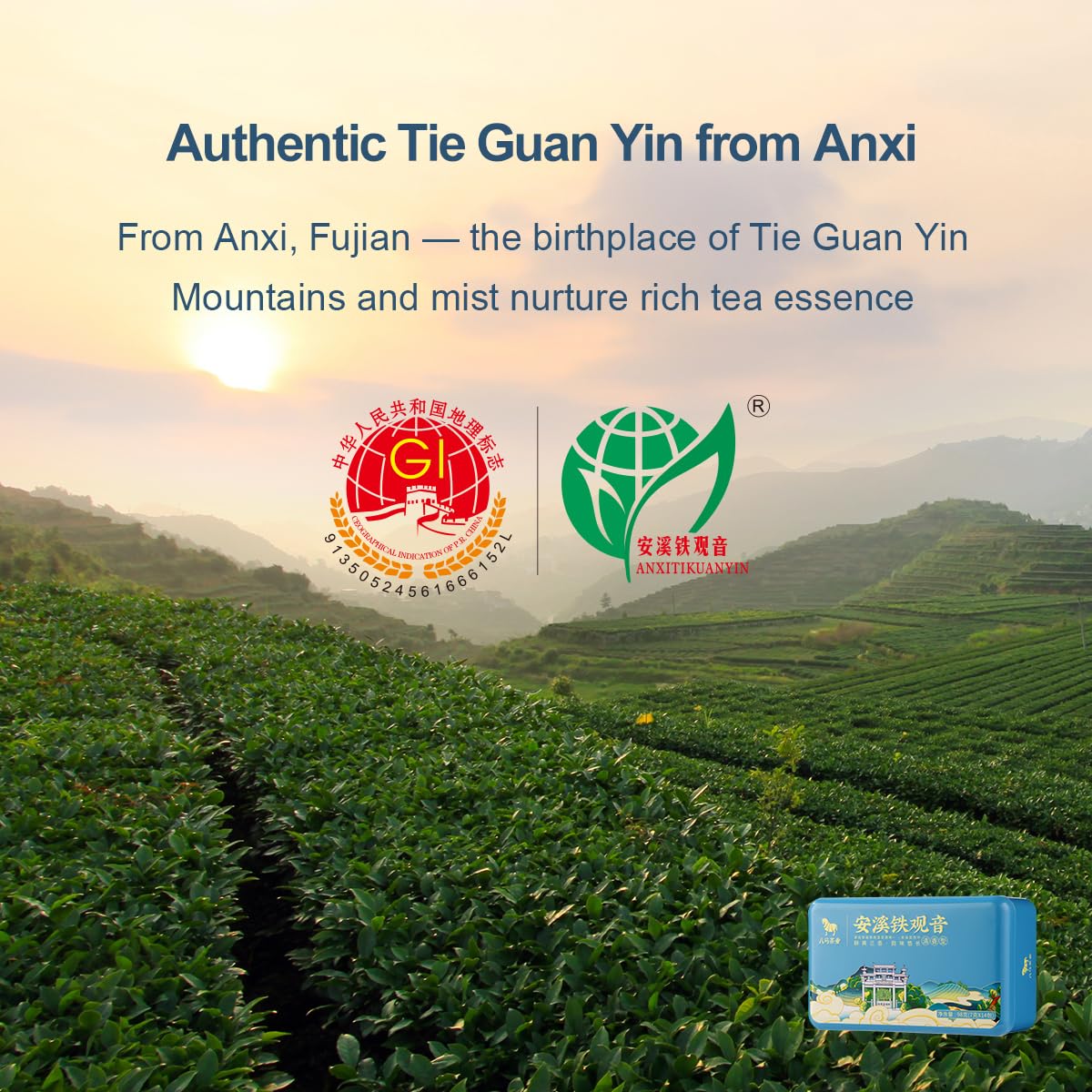 BAMA TEA Oolong Tea Tieguanyin Chinese Loose Tea Leaves Light Aroma Tieguanyin Box 98g