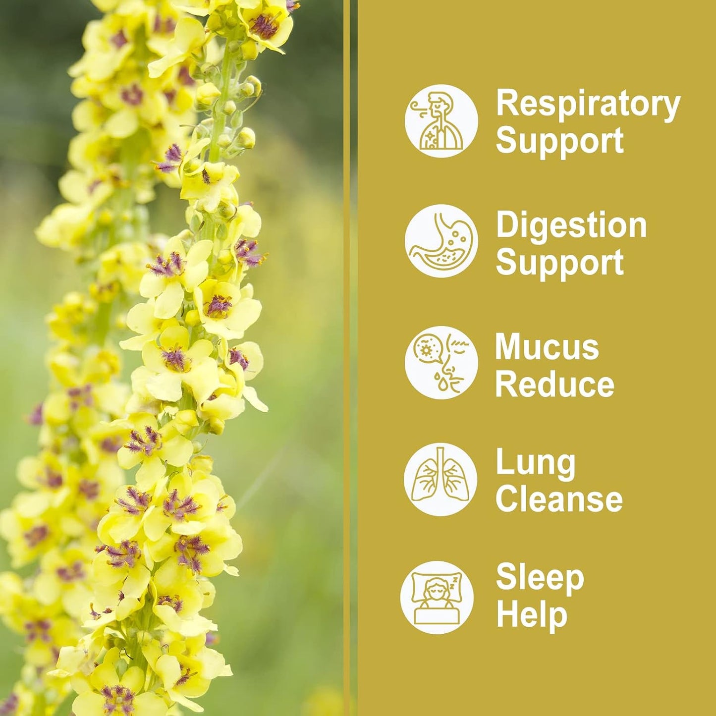 Olvvla - Mullein Tea Bags For Lungs, 30 Count, Mullein Leaf Tea