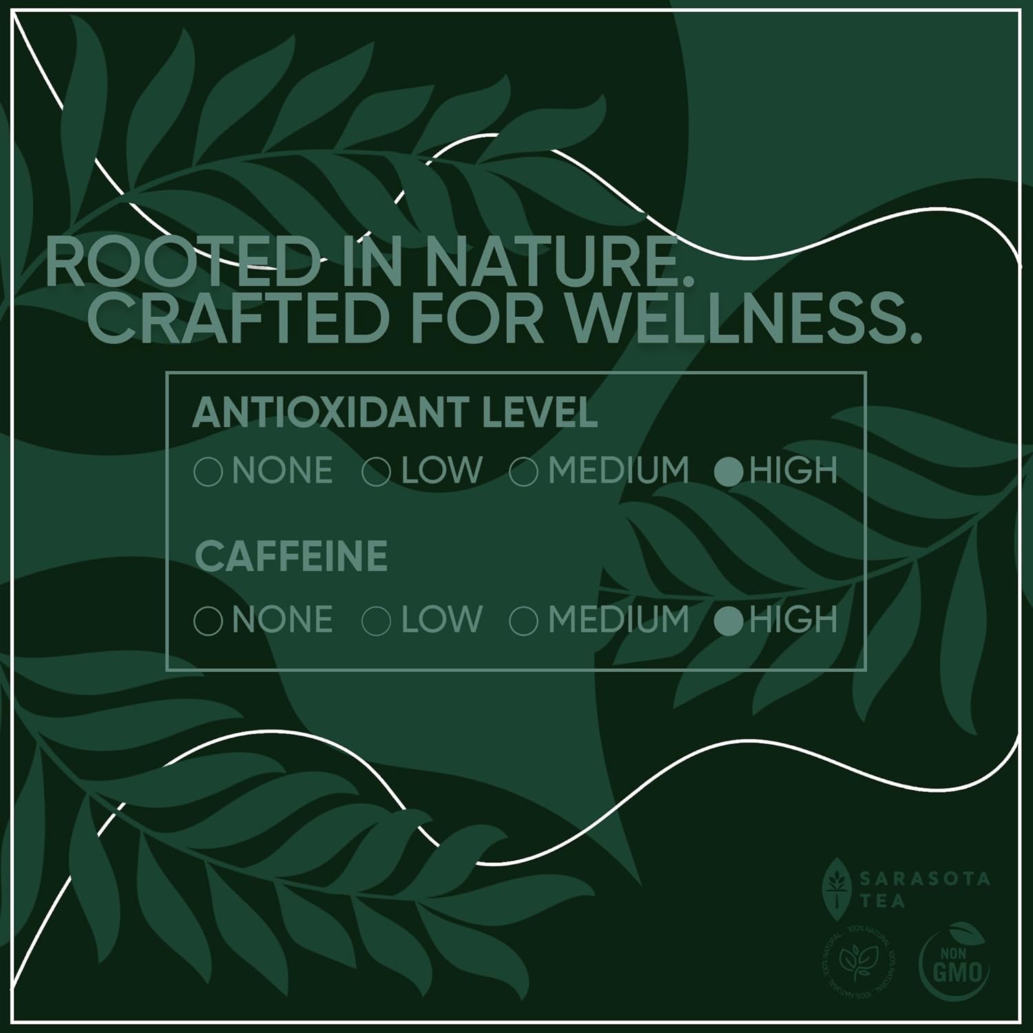 Gyokuro Tea Loose Leaf 3 oz | Premium Japanese Shade Grown Green Tea | Umami Rich Smooth Flavor | Bulk Loose Leaf