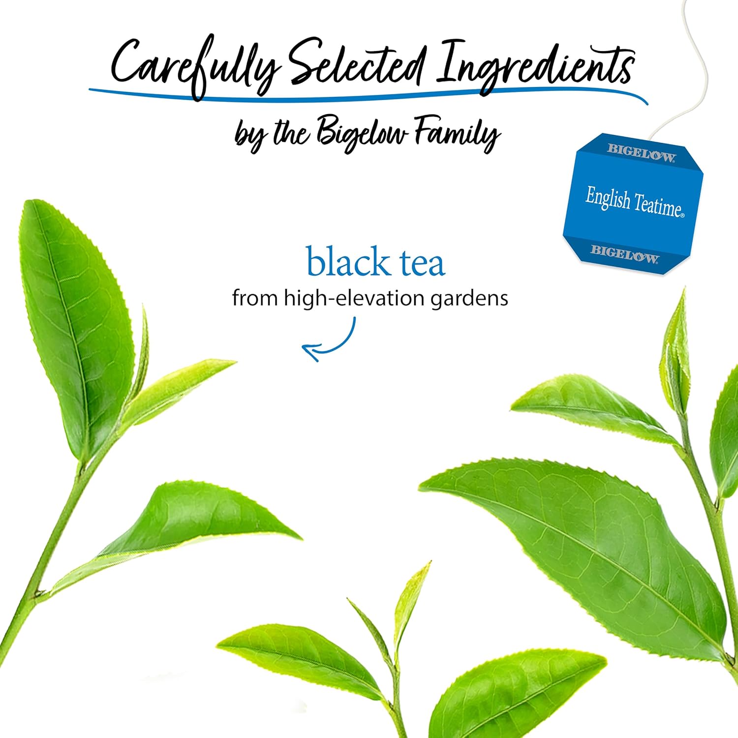 Bigelow, English Time Tea (Caffeinated), 20 Count