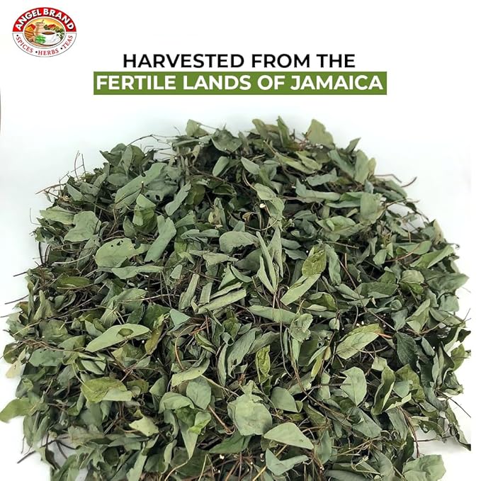 Angel Brand Jamaican Strongback Herb 0.25 oz Pouch Pack of 3 - Sourced from Fertile Land of Jamaica- Strongback Earthy,Woody & Bitter Flavor