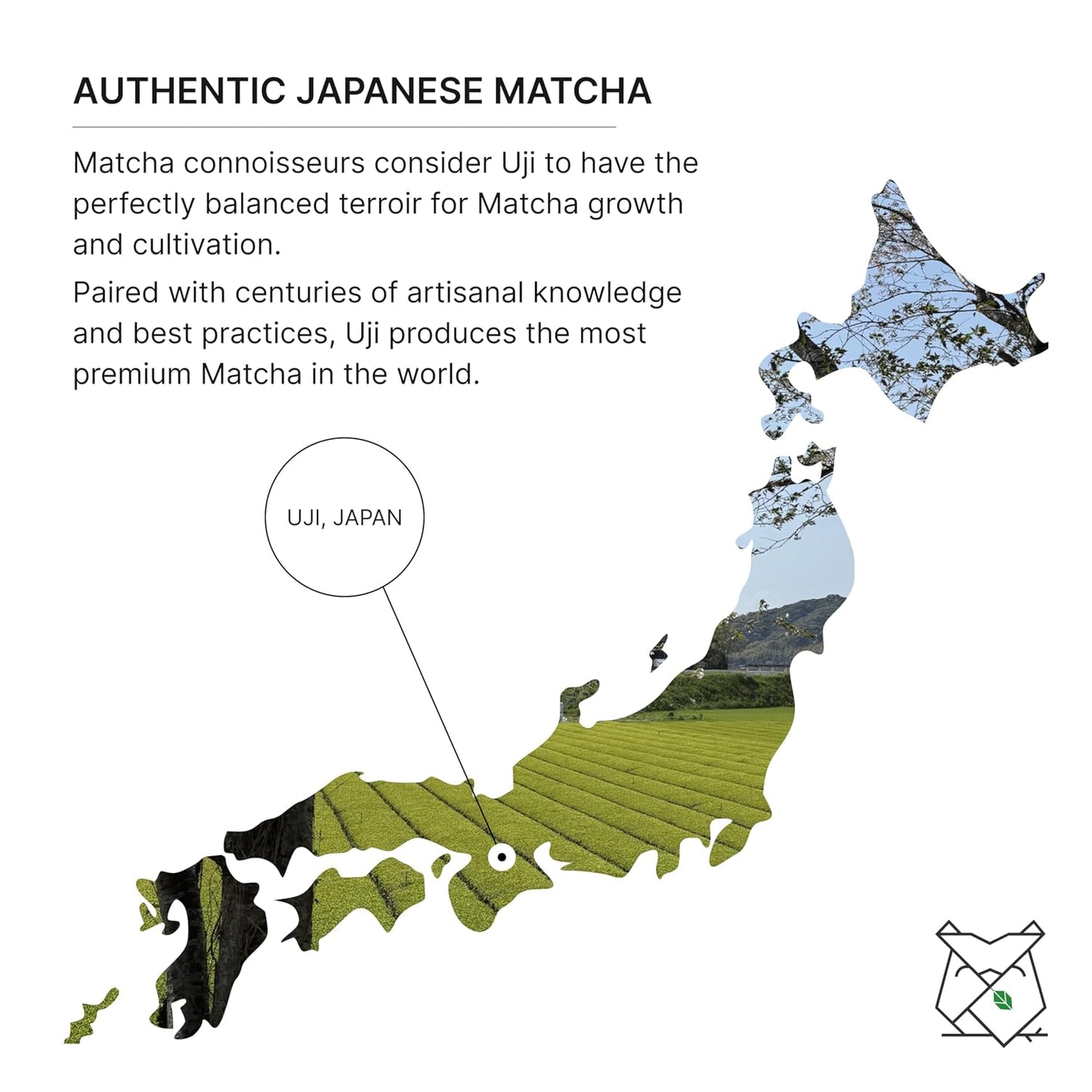 FKRO Pinnacle Okumidori Ceremonial Reserve Matcha | USDA Organic, 1st Harvest Green Tea Powder from Uji, Kyoto | Fresh Monthly from Japan | 30g Tin