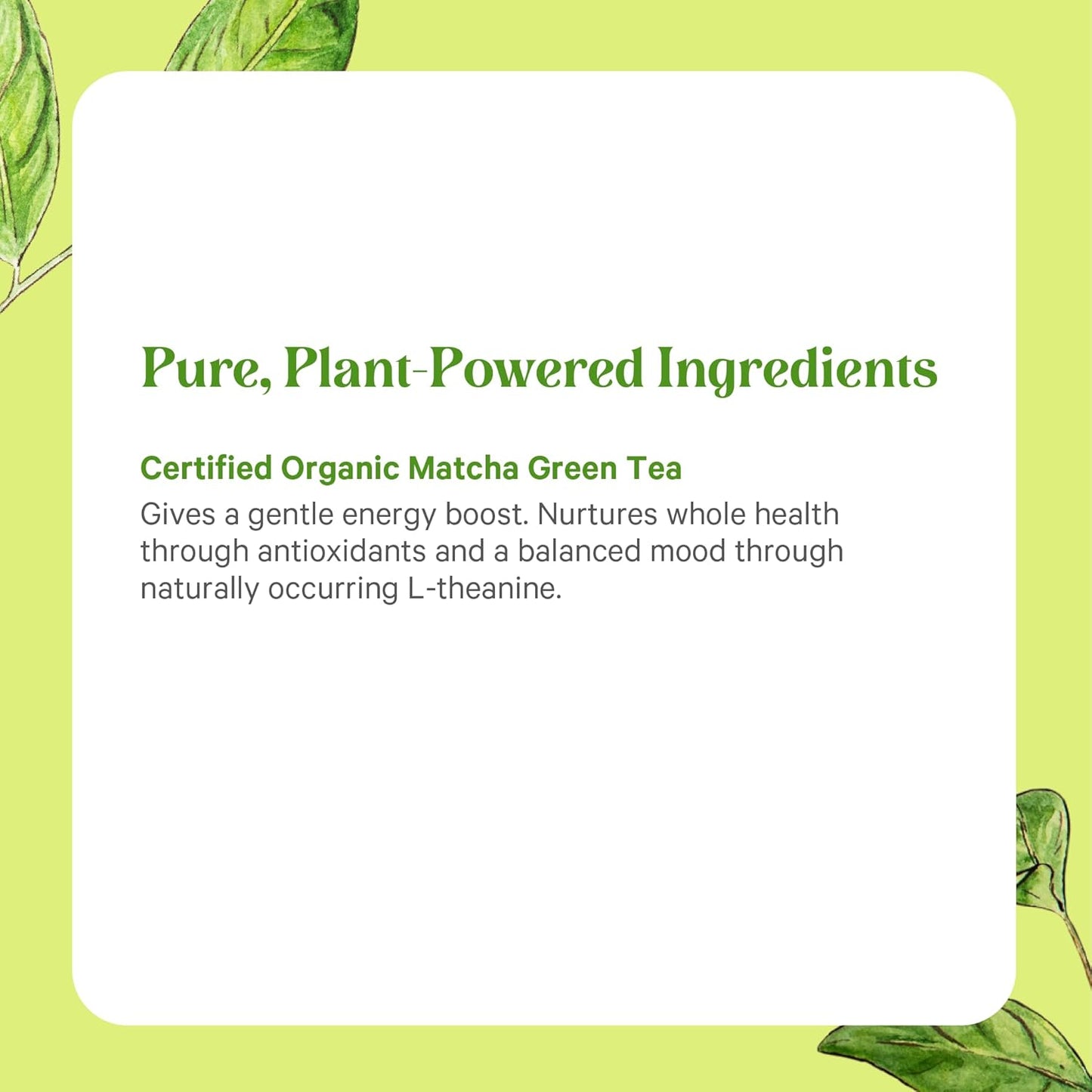 PURE SYNERGY Matcha Power | Organic Matcha Powder | Ceremonial Grade Japanese Green Tea Powder | For Enhanced Energy & Alertness (2.1 oz)