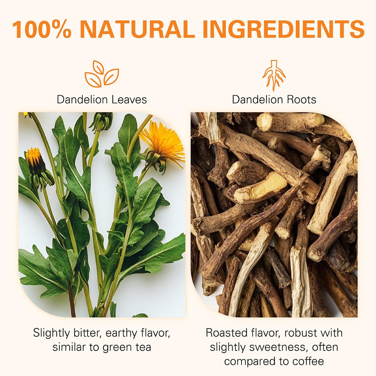 WT WEETEE Dandelion Leaf &amp; Root Tea Bags 100ct, Caffeine-free Roasted Aroma