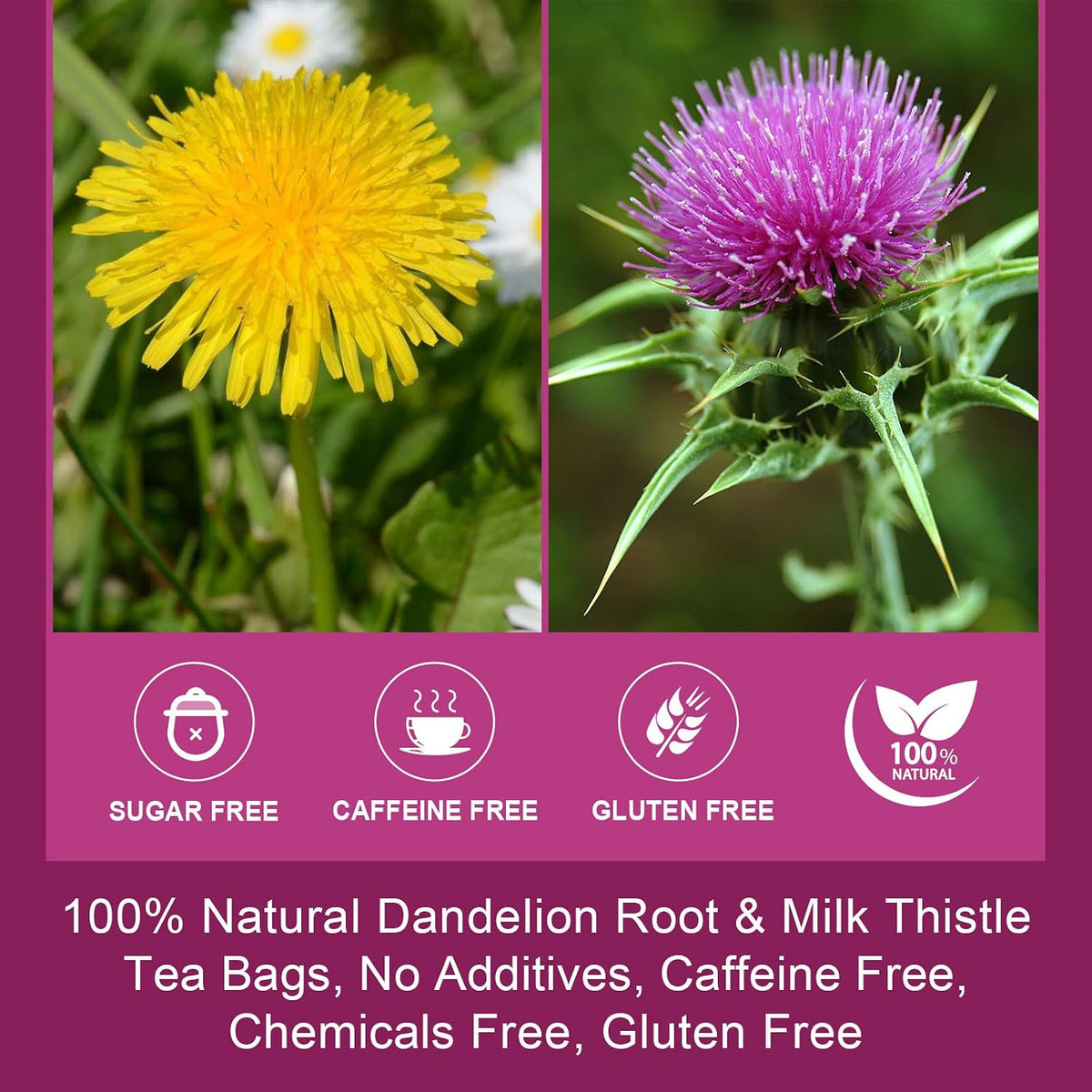 WOGORGT Dandelion Root with Milk Thistle Tea for Liver Support, 40 Tea Bags