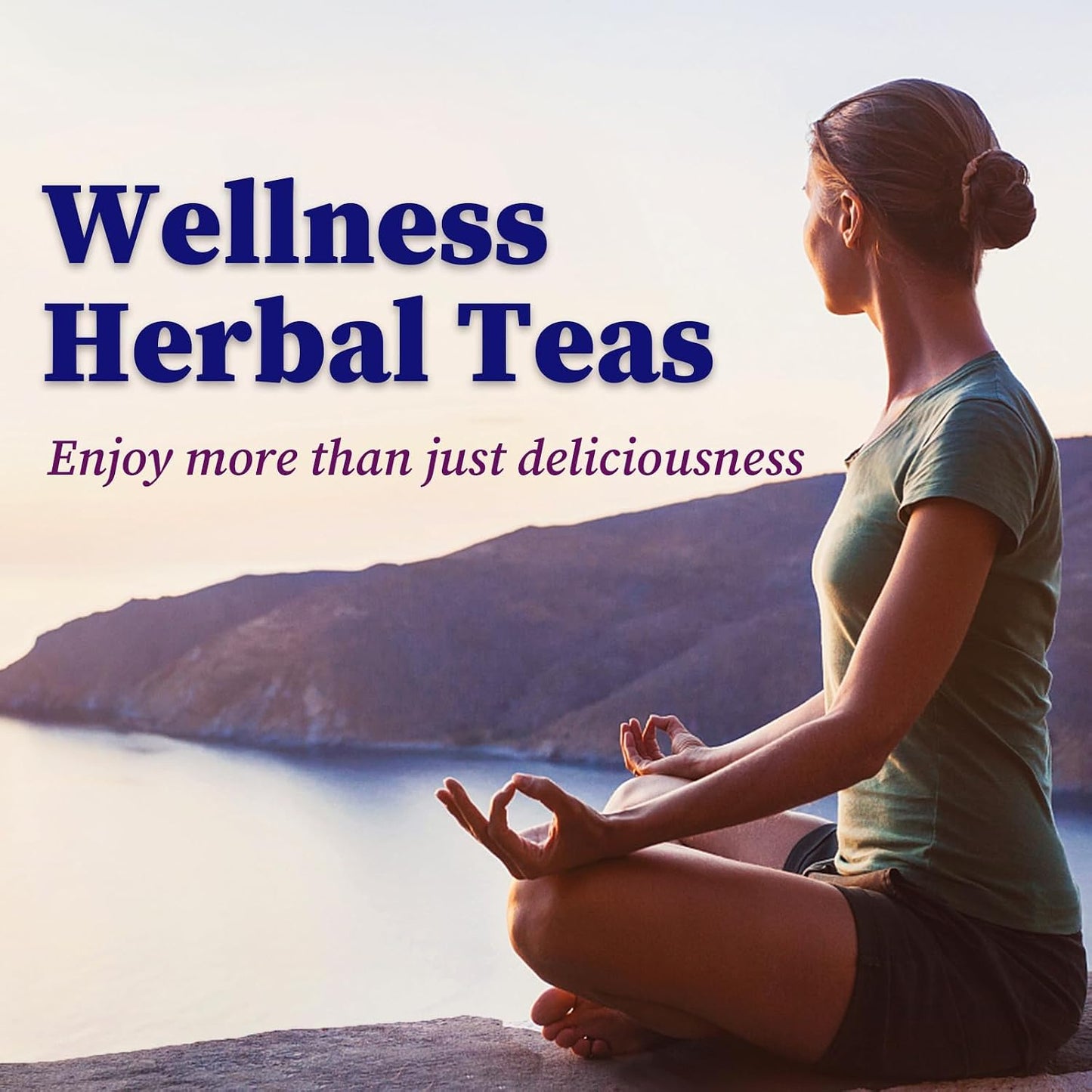 FullChea - Blueberry Tea Bags, 50 Count, Fruit Blend Herbal Tea