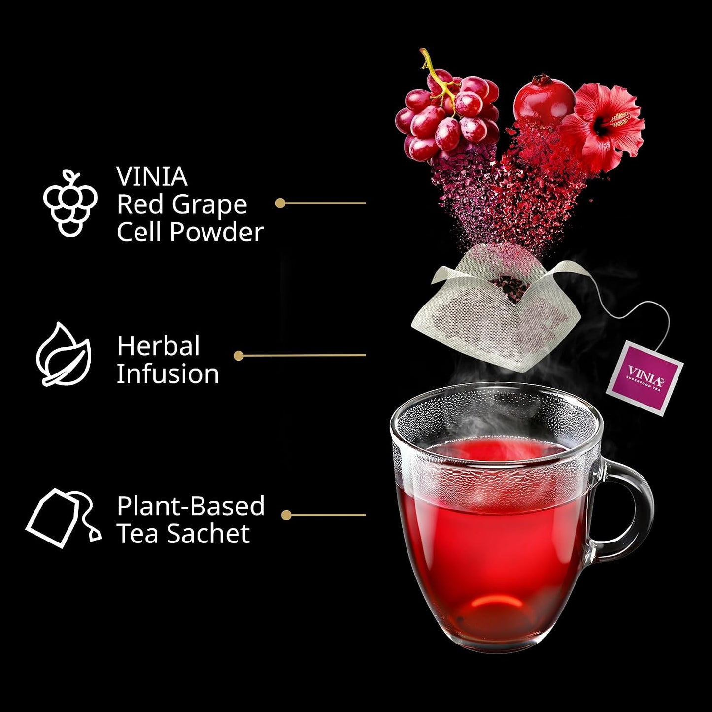 VINIA Blood Flow | Cranberry Hibiscus Herbal Tea, Piceid Resveratrol, 30 Ct