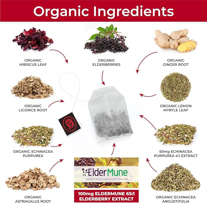 CogniTea Herbal Immunity Tea - Immune System Booster - 100mg High- Potency Elderberry, 50mg Echinacea, Lemon, & Ginger Organic Herbal Tea Bags - Caffeine Free Immunity Boost