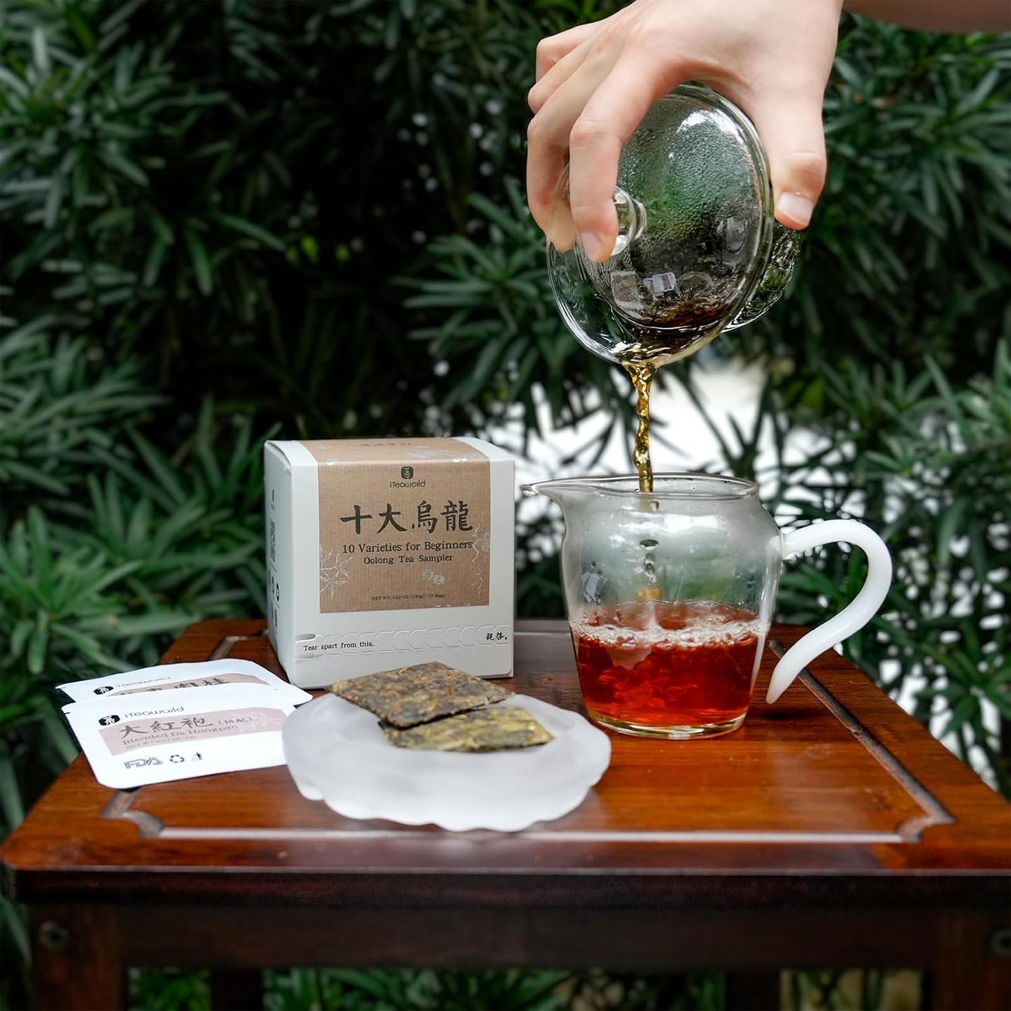 iTeaworld Chinese Tea Collection – Top 10 Classic Oolong Tea Sampler, Chinese Loose Leaf Tea Sampler, 10 Classic Oolong Varieties, No Sugar or Additives, Boxed Beginner Tea Gift Set, 20 Individually Wrapped Mini Tea Cakes, 5g/Piece, 3.52oz
