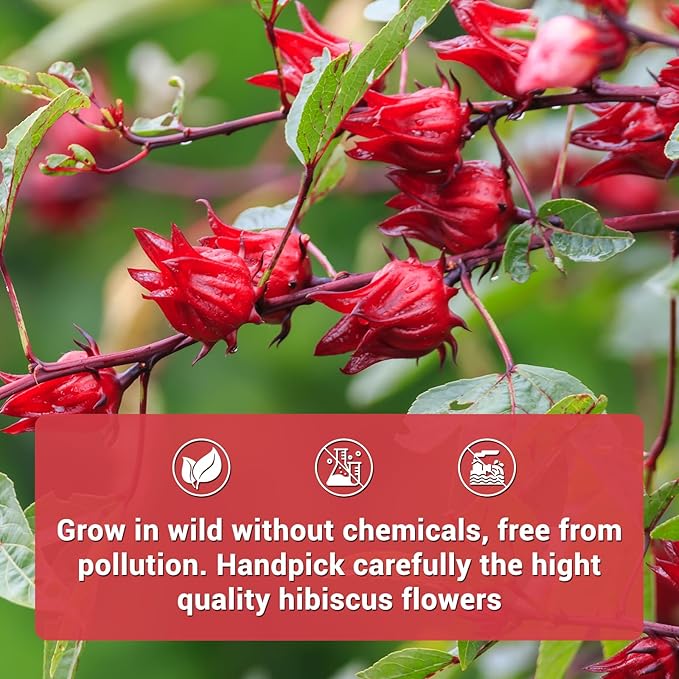 Hibiscus Tea Bags, 100% Natural Hibiscus Flowers Herbal Tea Supports Heart Health, Boosts Immune，Caffeine Free, Non-GMO, No Sugar（1 Pack/100 Bags)
