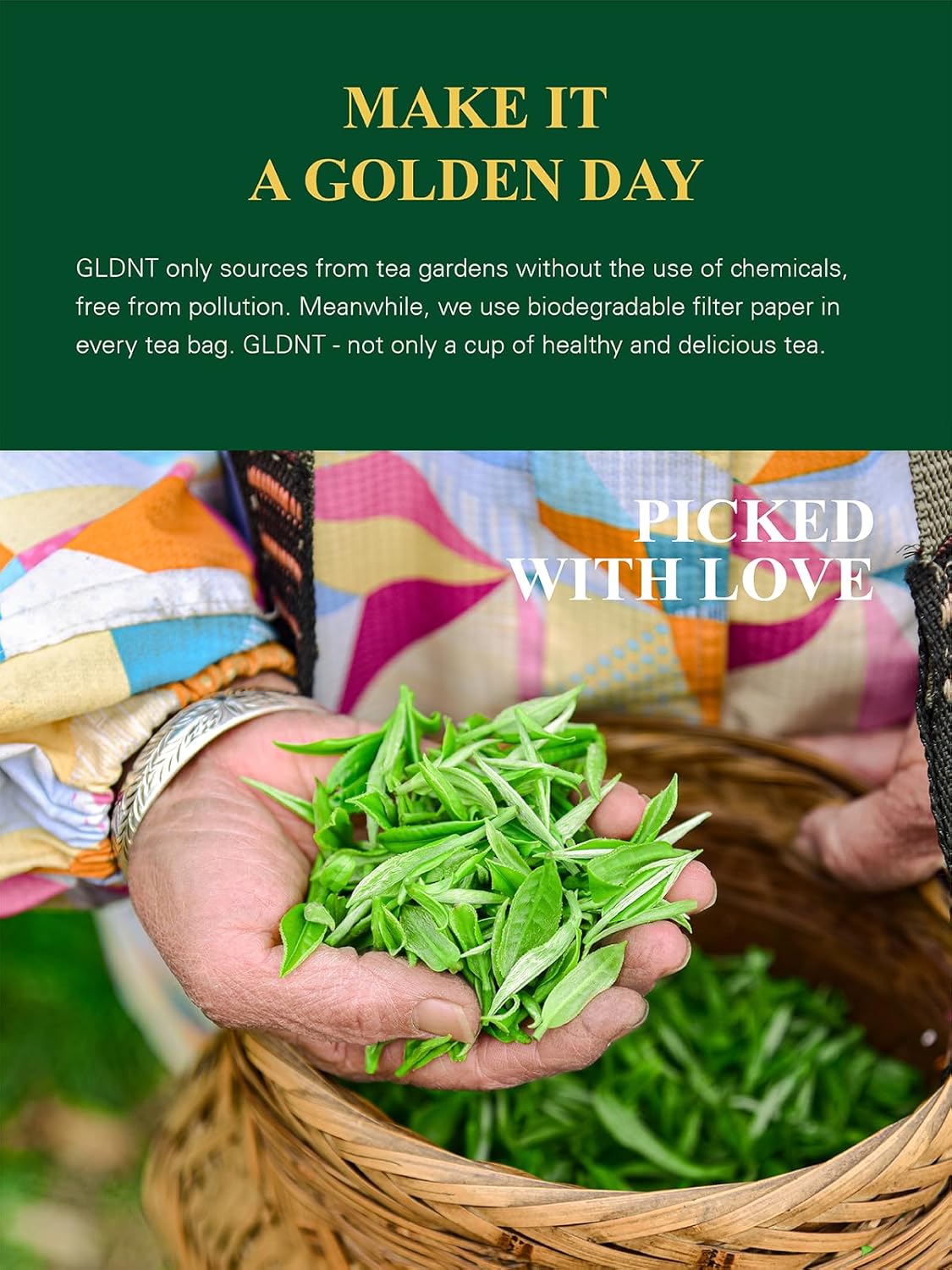 GLDNT Organic Green Tea Bags, Natural Pure Organic Green Tea, Super Antioxidant, Caffeinated, 100 Count