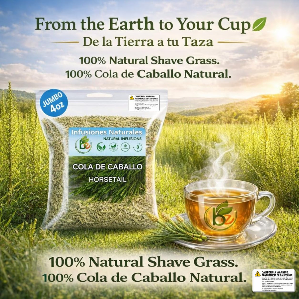 B-Experts Cola de Caballo Herbal Tea – 4 oz (113 g) – 100% Natural Horsetail Loose Leaf Tea (Shave Grass) – Traditional