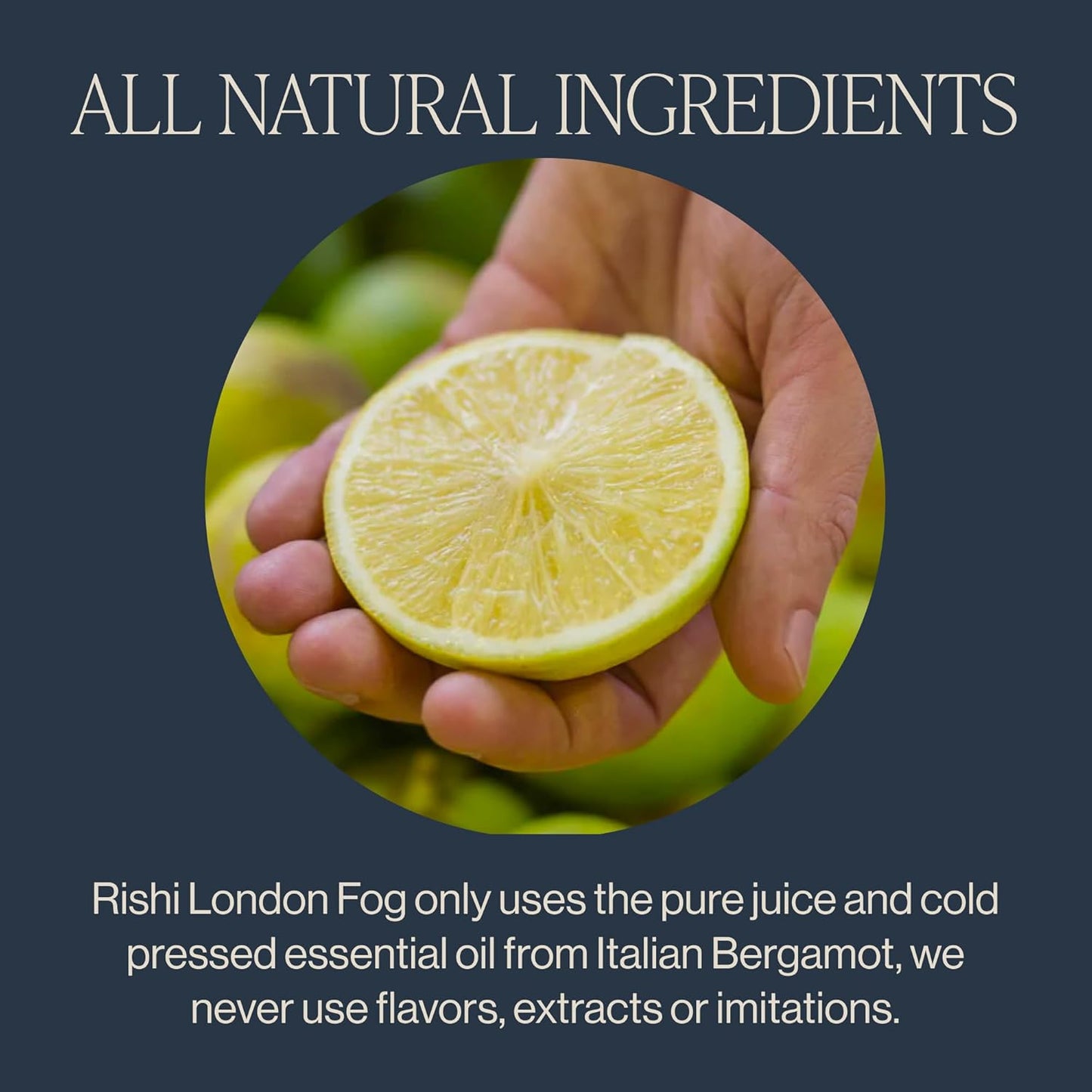Rishi Tea London Fog Latte, Organic Black Tea Concentrate, 96 Fl Oz | Earl Grey Latte Concentrate with Bergamot, Easy-to