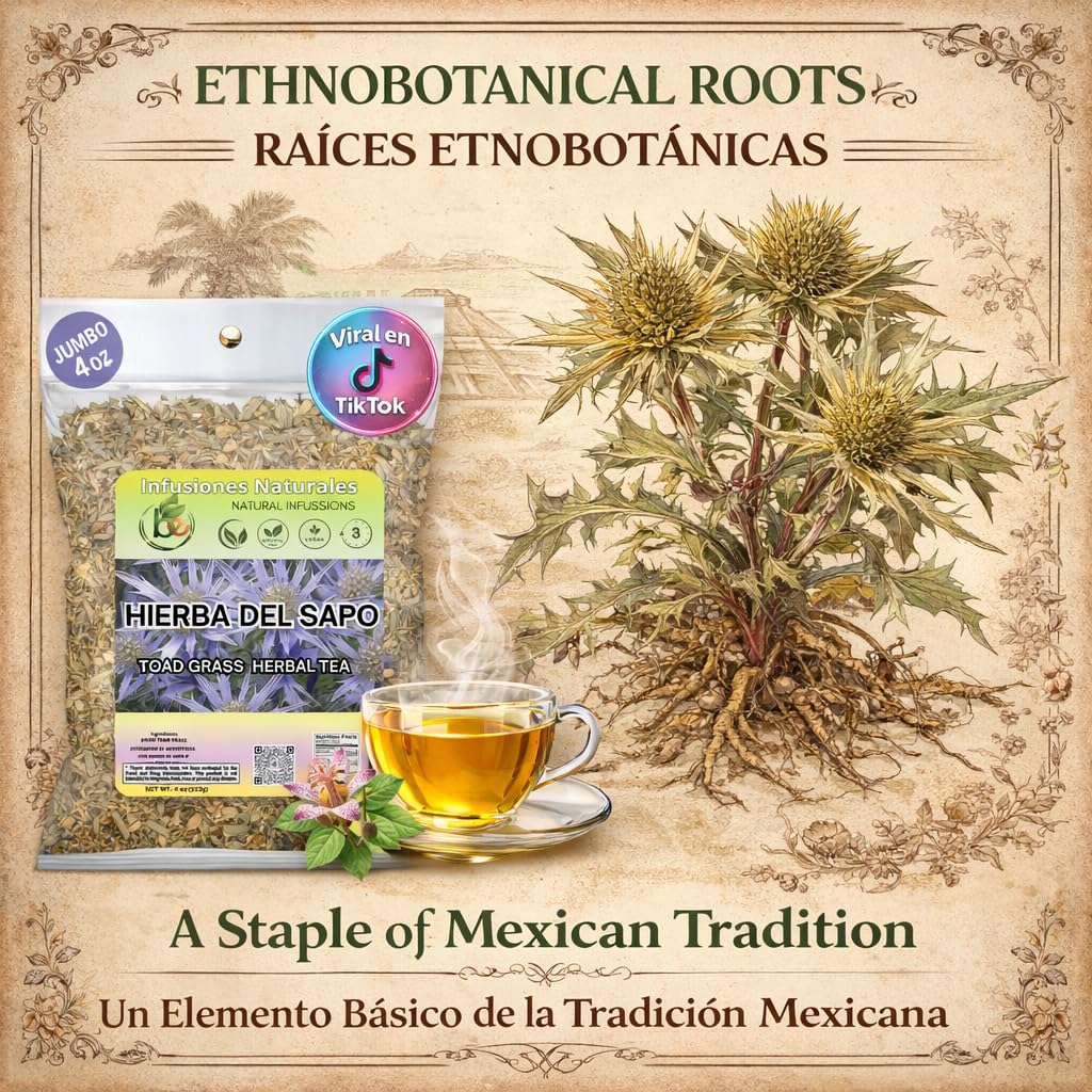 B-Experts Hierba del Sapo Herbal Tea 4 oz (113g) - 100% Natural Mexican Thistle (Eryngium heterophyllum) - Traditional Loose