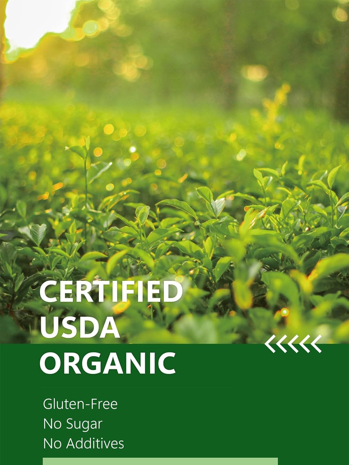 HYNTMYT Organic Green Tea Loose Leaf, USDA Organic Green Tea, Smooth & Crisp Taste, Lower Caffeine, 16oz