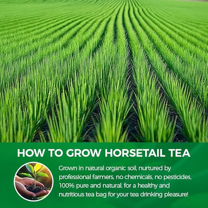 WOTIHA-Natural Horsetail tea 90g. 60 Herbal Tea Bags.100% Natural Horse Tail Herb Helps Promote Hair Growth .cola de caballo hierba.Non-GMO •