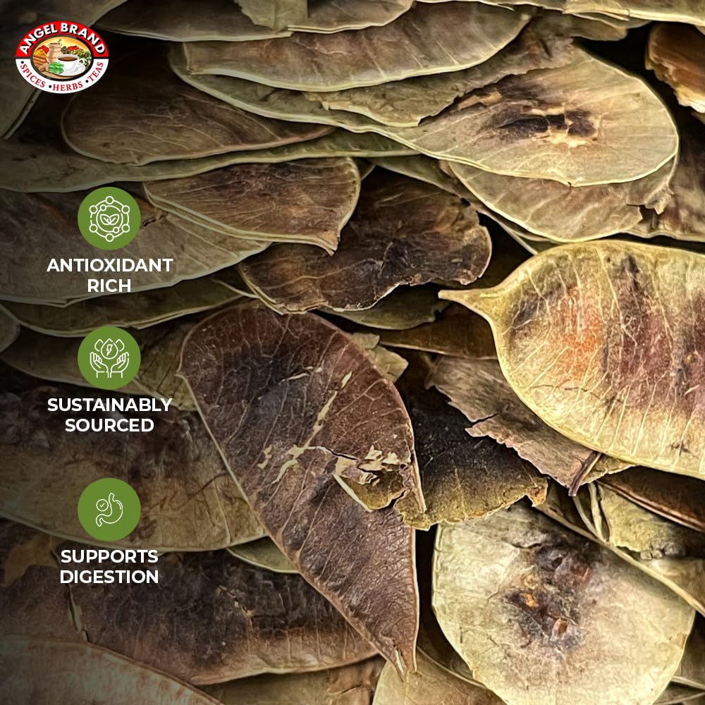 Senna Pods | 0.5 oz | 3 Pack | For Tea and Traditional Uses