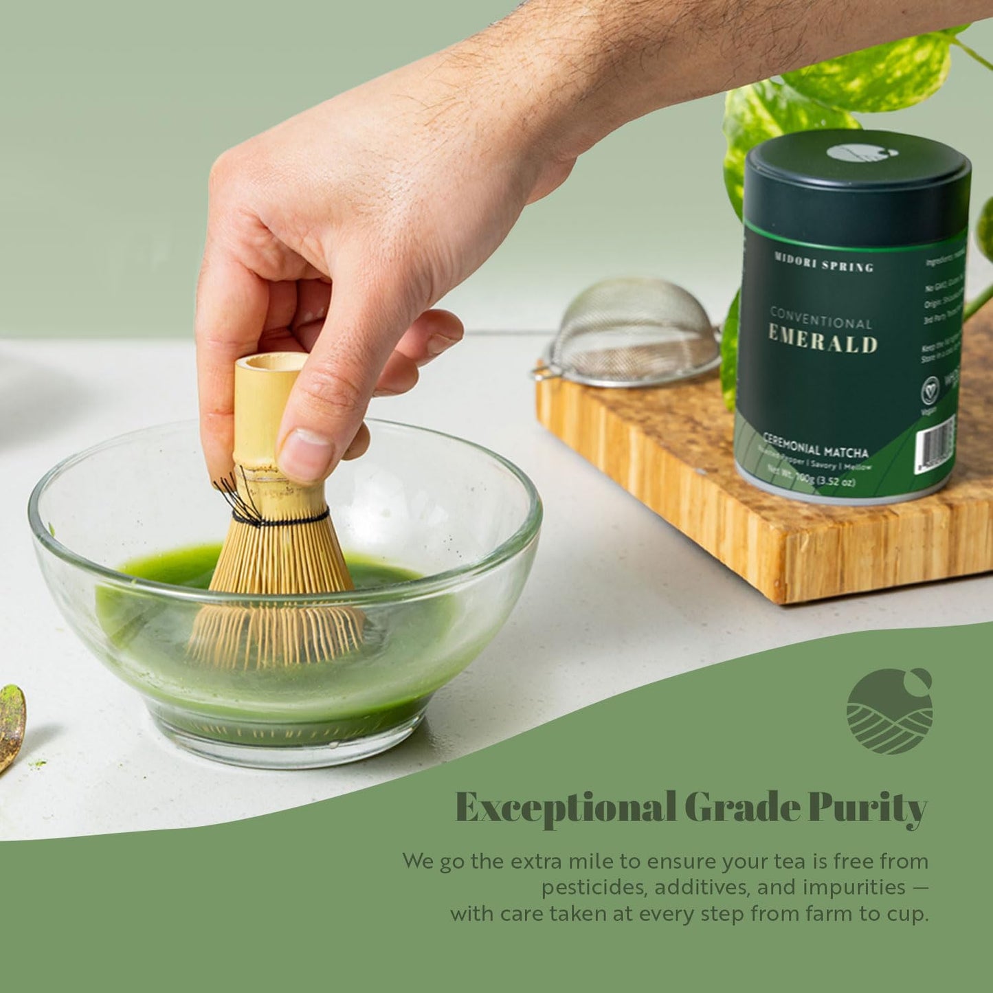 Midori Spring EMERALD - Ceremonial Matcha, Premium Conventional Japanese Matcha Powder 100g