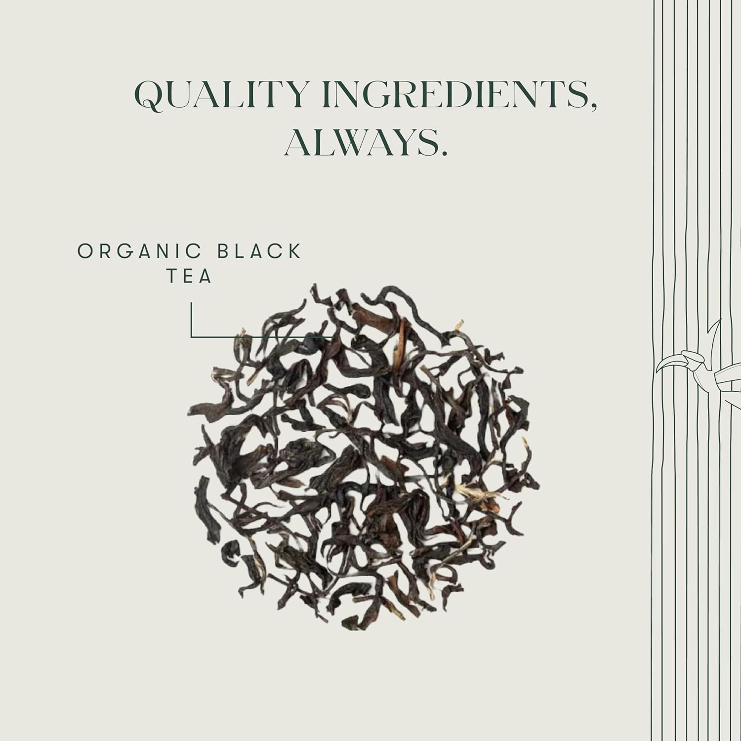 Luxmi Estates Queen of the Hills Organic Darjeeling Black Tea Blend 25 Tea Bags (1.76oz) Pack | 25 Cups | Direct from Garden