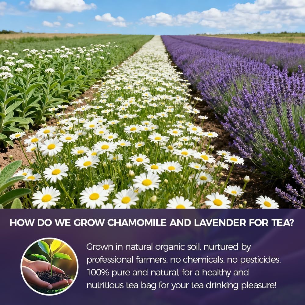 WOTIHA 60 Count Premium Chamomile Lavender Tea Bags - 100% Pure Flowers, Soothing Aroma, Supports Relaxation &amp; Better Sleep, Caffeine-Free, Additive-Free, Sugar-Free, Vegan.Non-GMO