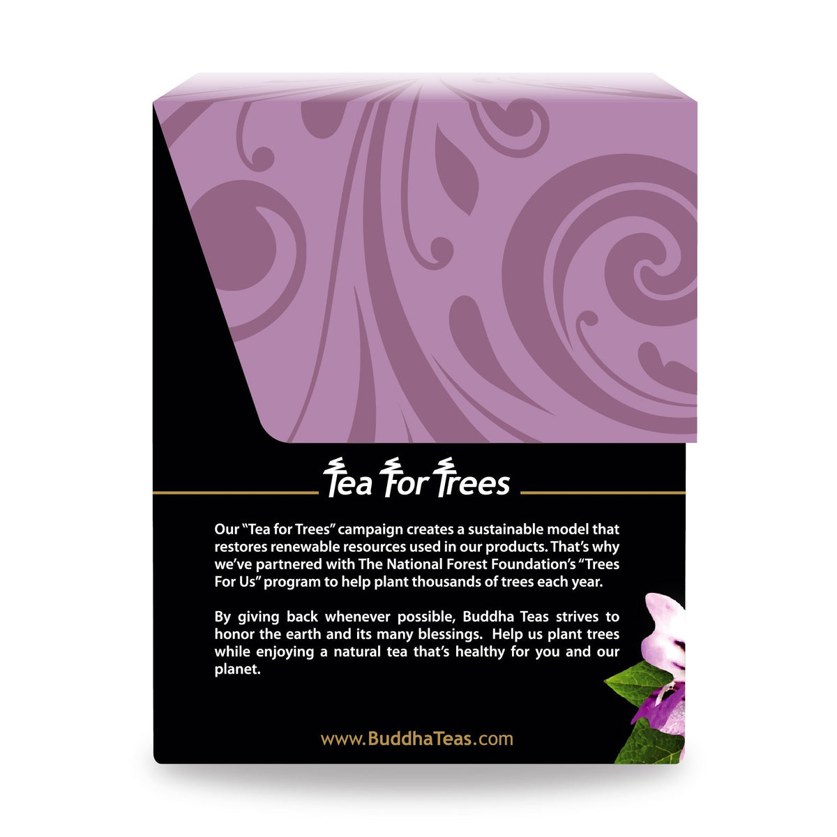 Buddha Teas Organic Eyebright Herb Tea - Herbal Tea, Caffeine Free