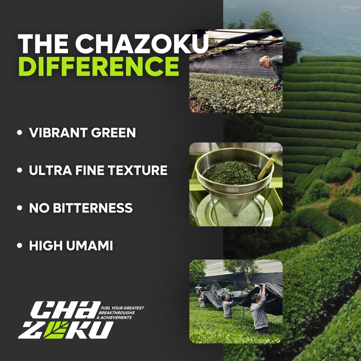 Chazoku Gokou (35g Tin) Ceremonial Grade Matcha Powder - First Harvest Single Cultivar - Japanese Matcha Green Tea Powder - Stone Milled - Fresh from Yame, Japan