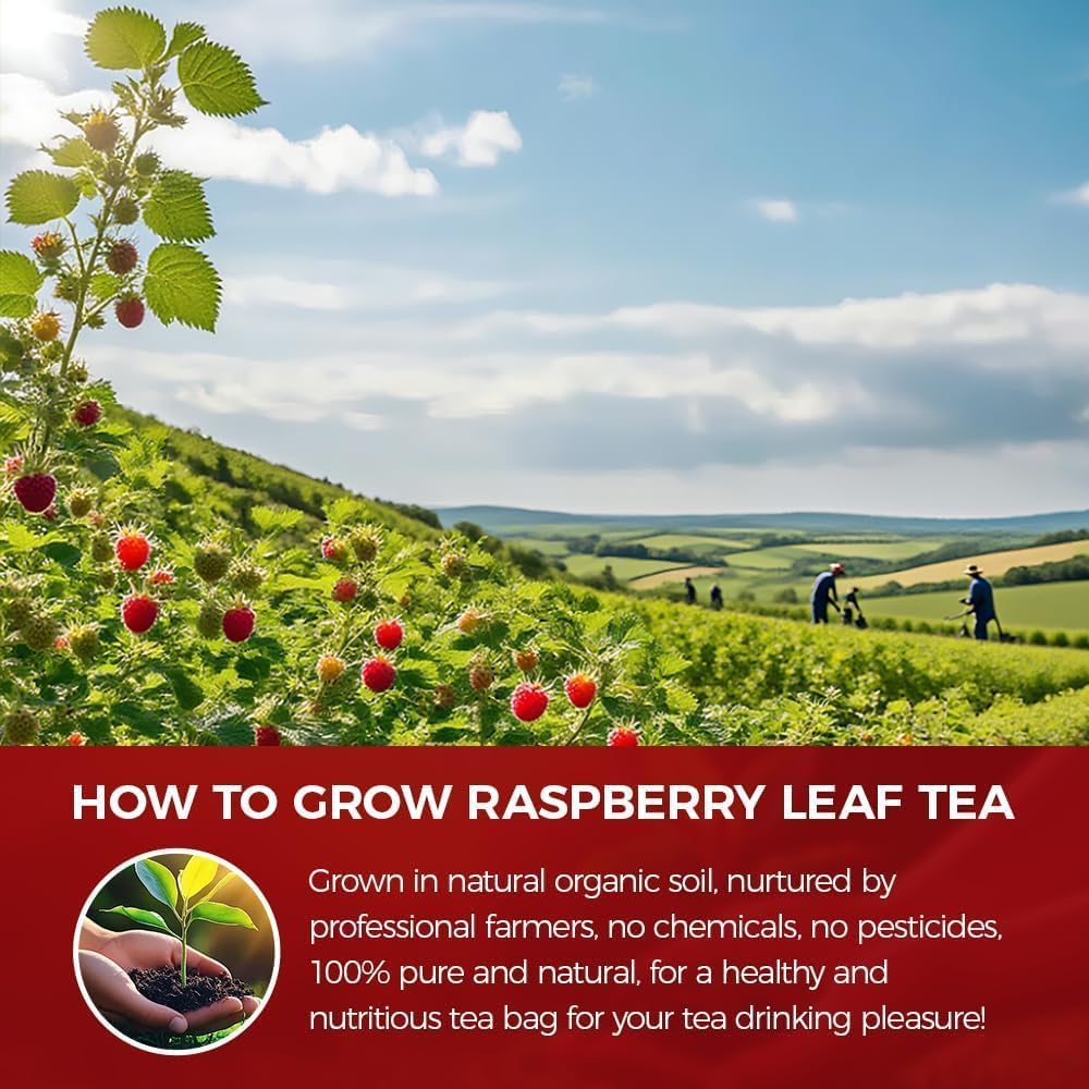 WOTIHA 80 Count Premium Raspberry Leaf Tea Bags - Pure Red Raspberry Leaf, Supports Pregnancy Health &amp; Menstrual Comfort, Aids Childbirth Prep, Caffeine-Free, Additive-Free