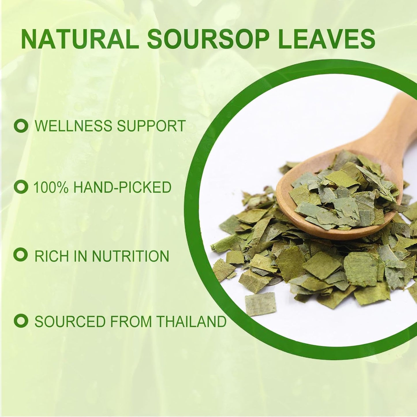 Jarteela - Soursop Tea Bag, 60 Ct, Pure Graviola Tea Soursop Leaves Teabags | Pure soursop leaves tea, supports gentle digestion and helps maintain healthy-looking skin. Caffeine-free, Non-GMO