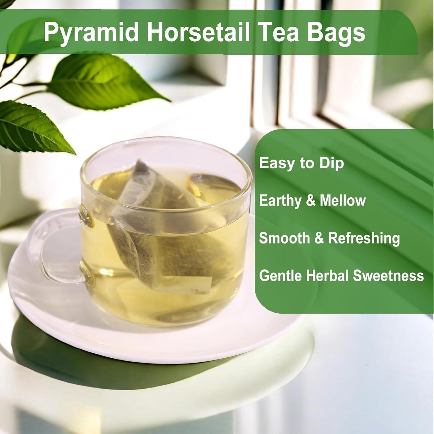 Jarteela - Horsetail Tea Bag, 36 Ct, Dried Horsetail Herbs, Cola De Caballo