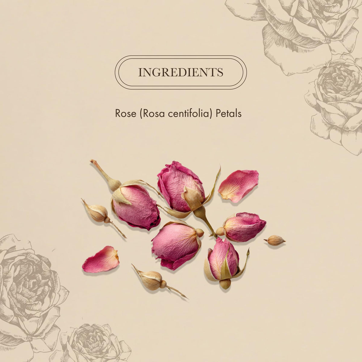 Anima Mundi Apothecary Love + Serenity Rose Petal Powder - with Edible Dried Rose Petals & Buds - for Heart Chakra - Fluffy