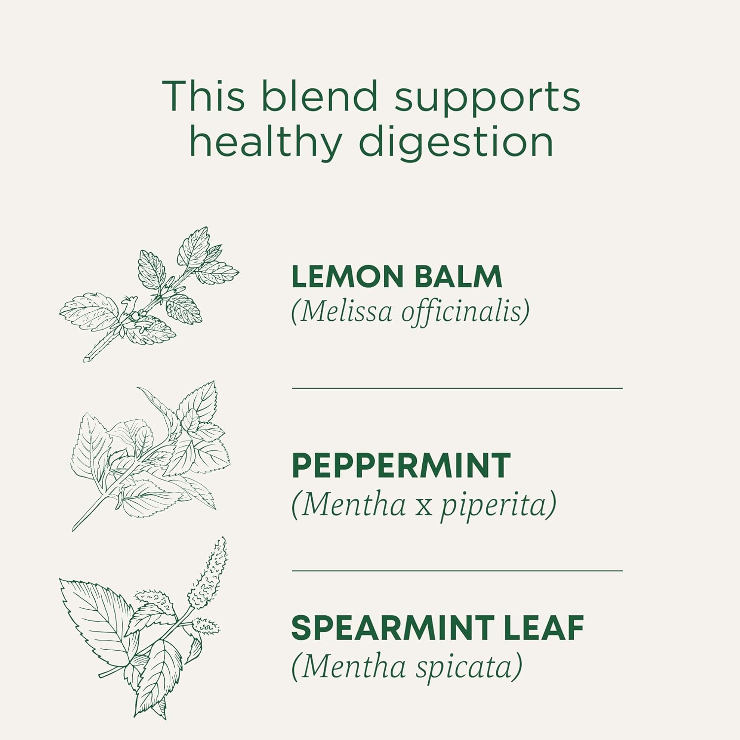 Traditional Medicinals Tea, Organic Triple Mint - Supports Healthy Digestion - Kosher, Non-GMO, Caffeine-Free - 16 Tea Bags
