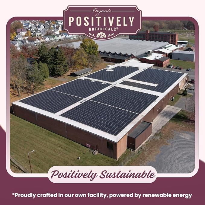 Organic Positively Botanicals Company, Ginkgo Biloba Herbal Tea Bags, 20 Count