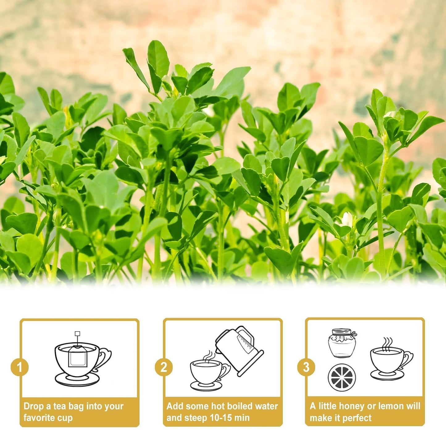 TEARELAE - Fenugreek Tea Bags, 50 Count, Fenugreek Seed Tea