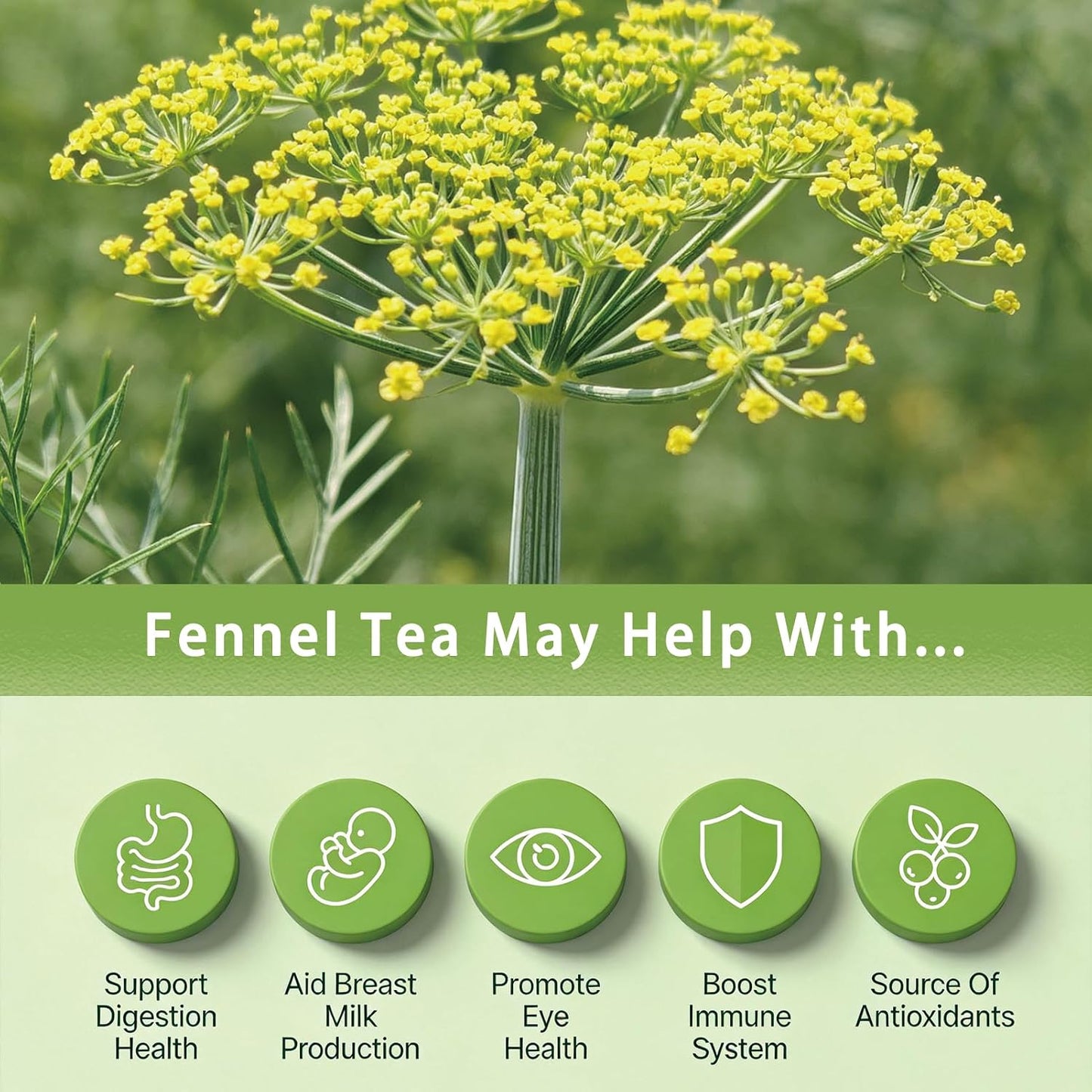 Samcci Fennel Tea Bags, 40 Count (4g/bag), Whole Fennel Seeds