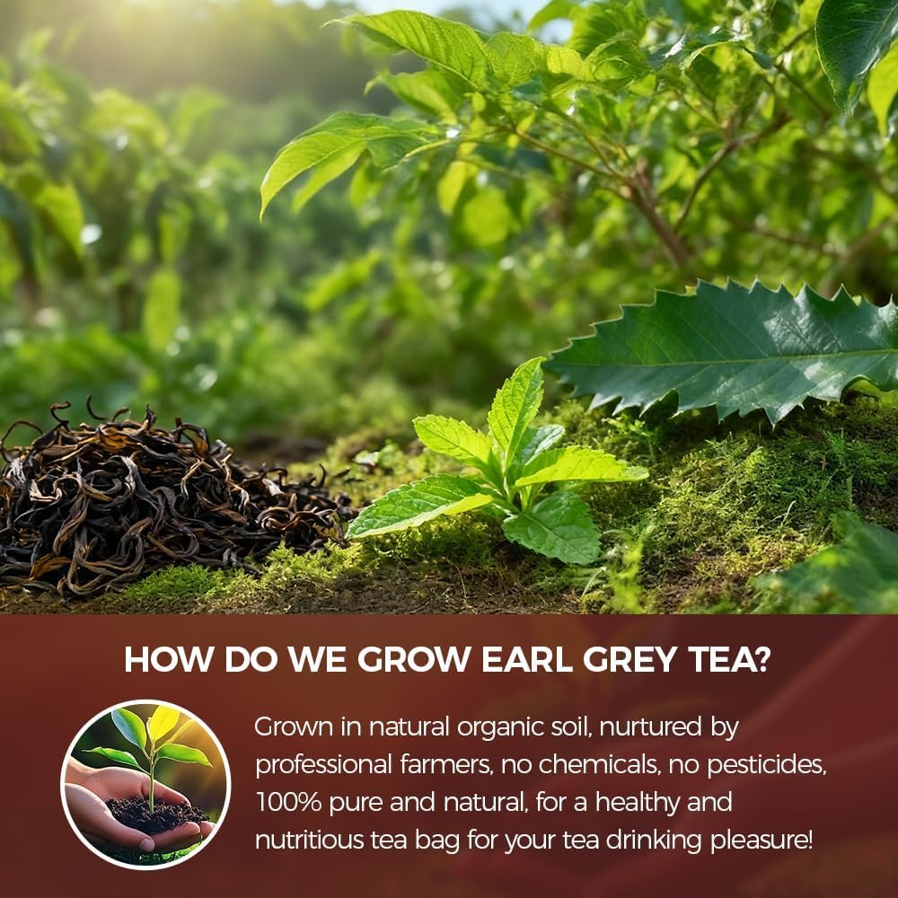 Natural earl grey Black tea 200g. 100 tea bags 100% natural earl grey tea loose leaf Tea.Additive-Free• Sugar-Free • Vegan