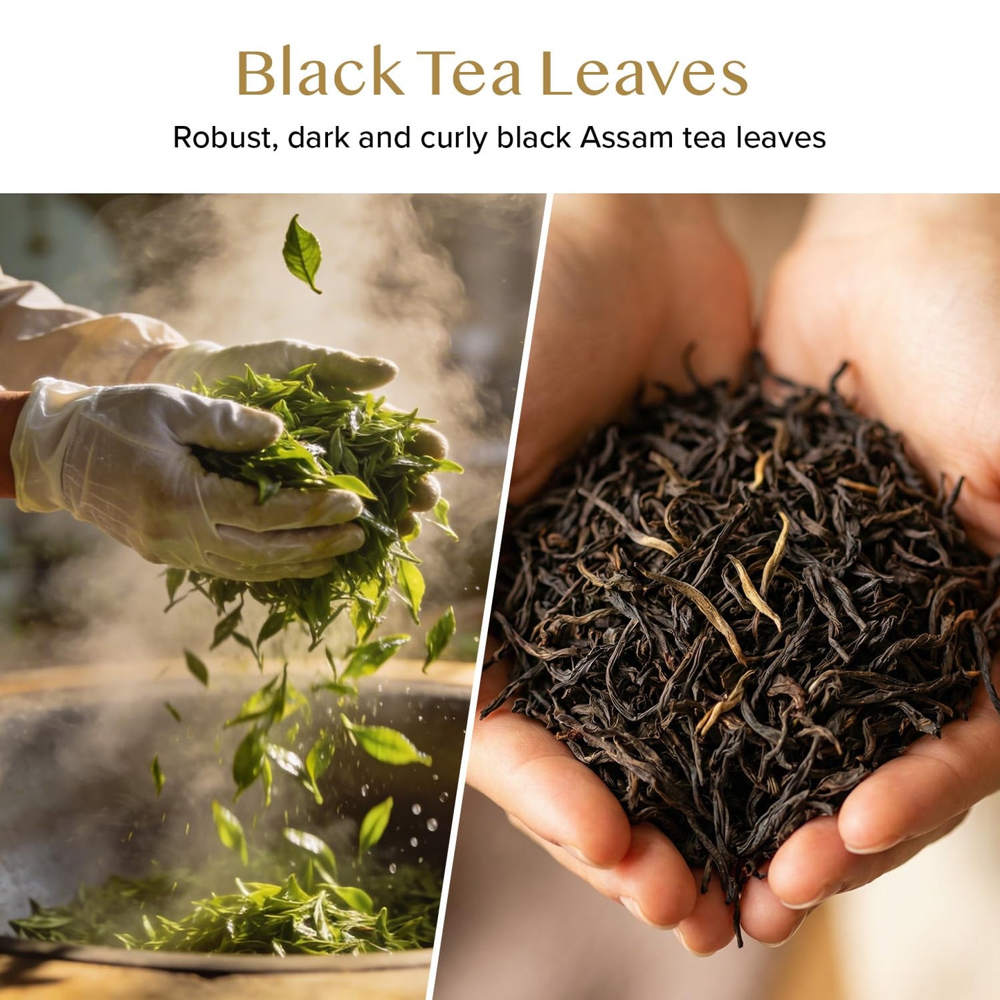 VAHDAM Assam Black Tea Leaves (12oz|170+ Cups) Quality Black Tea Loose Leaf | Malty &amp; Rich |Caffeinated, Non GMO |Pure Unblended Single Origin Black Loose Leaf Tea |Vacuum Sealed |Enjoy with/without milk
