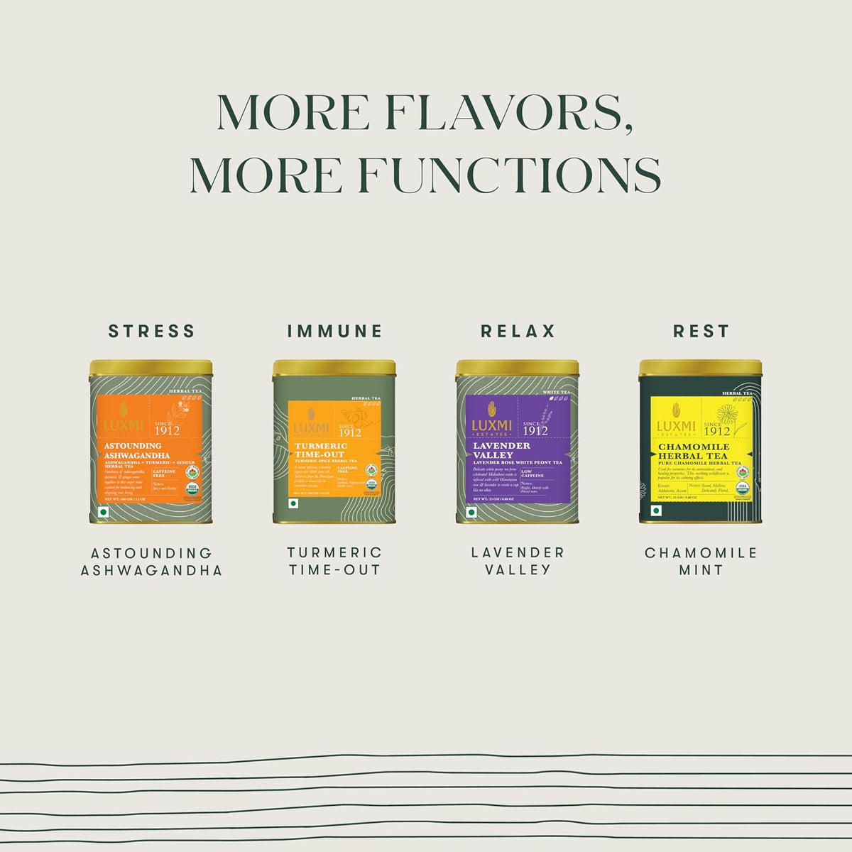 Luxmi Estates - Orange Spice - Black Darjeeling Tea - Loose Leaf - 100g (50 cups) | Special Edition Autumn Tea | Smooth