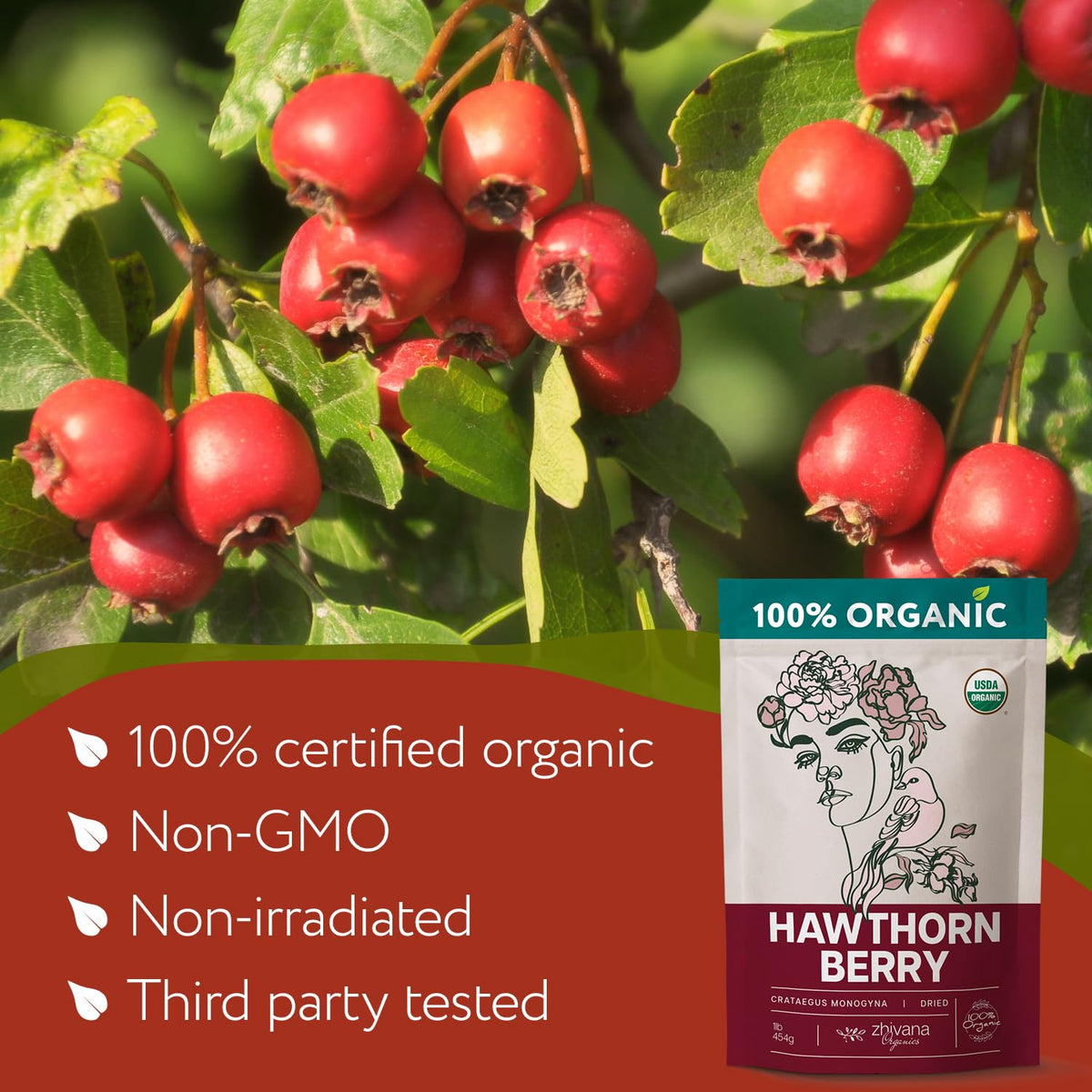 Organic Hawthorn Berries 8oz. - Hawthorne Tea Loose Leaf for Heart Health