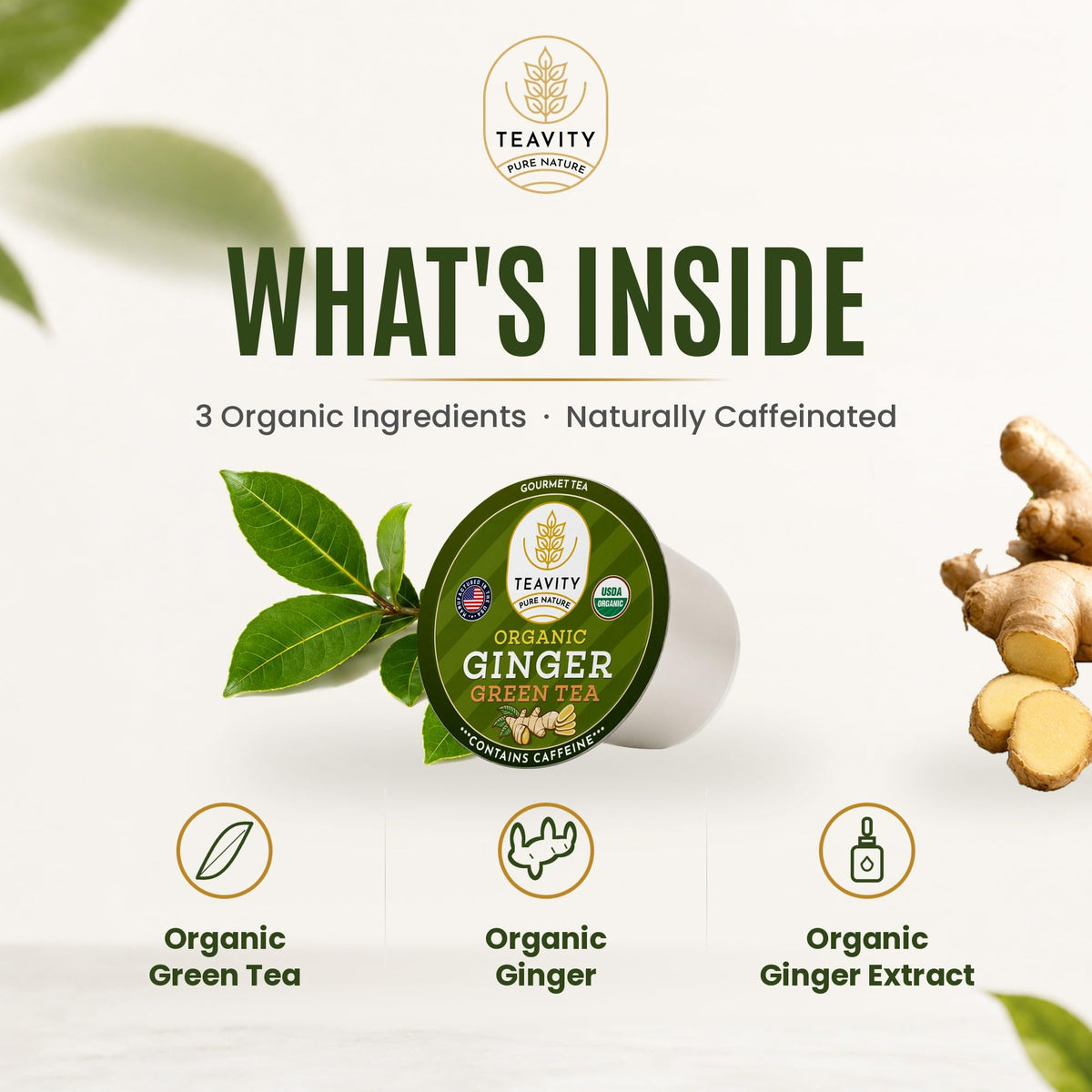 Teavity Organic Ginger Green Tea Pods, Keurig K-Cup Compatible, 12 Count