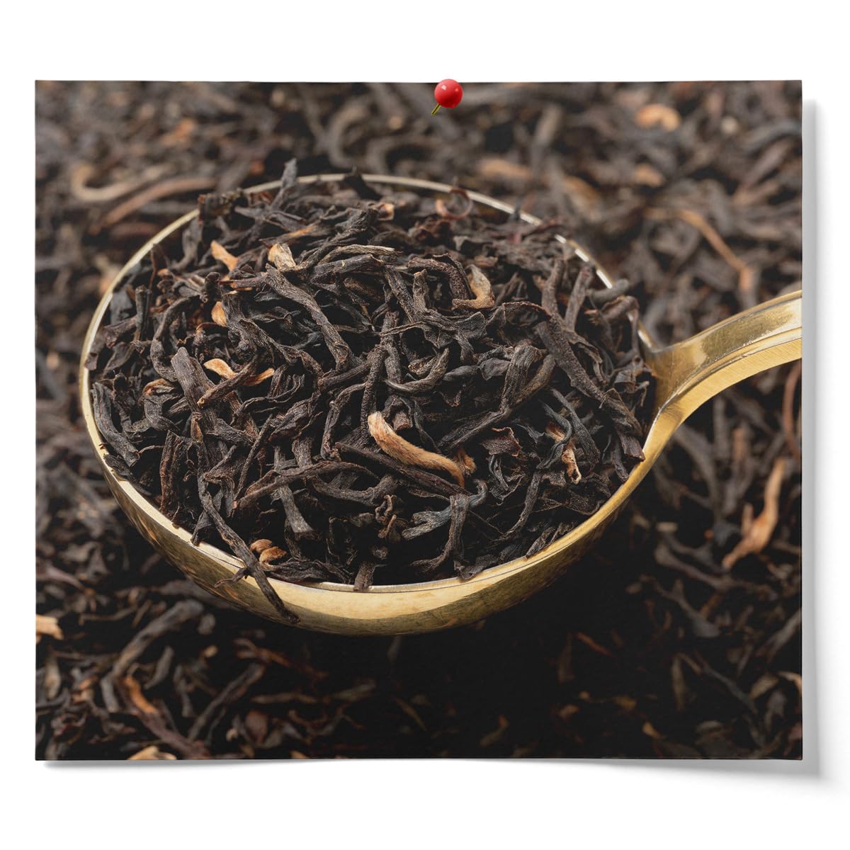 Fermentaholics Assam Black Tea – 4 oz – USDA Certified Organic Loose Leaf – OU Kosher – Ideal For Brewing Kombucha