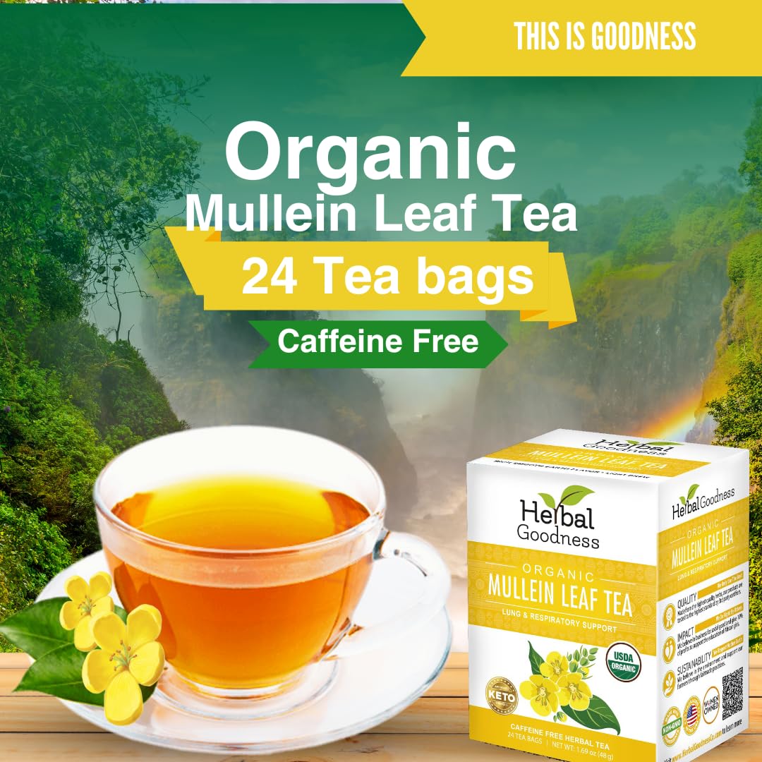 Organic Mullein Leaf Tea Bags for Lungs - 24ct Gordolobo Herbal Goodness